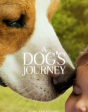 Dostumun Yolculuğu – A Dogs Journey 2019 1080p Türkçe Altyazı izle