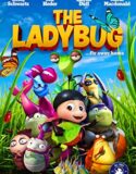 Mucize Uğur Böceği The Ladybug