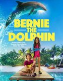 Yunus Bernie 1 Bernie The Dolphin 1