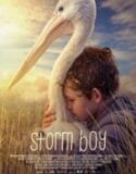 Fırtına Çocuk (Storm Boy)